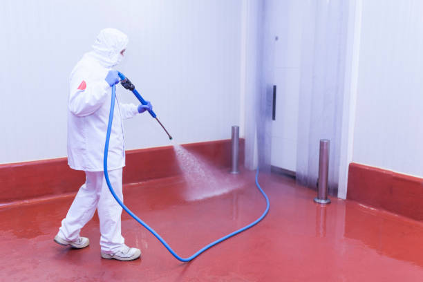 Best Factory Floor Cleaning  in Great Falls, MT